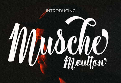 Decorative Script Font Bundle - 40 Exclusive Fonts - Artixty