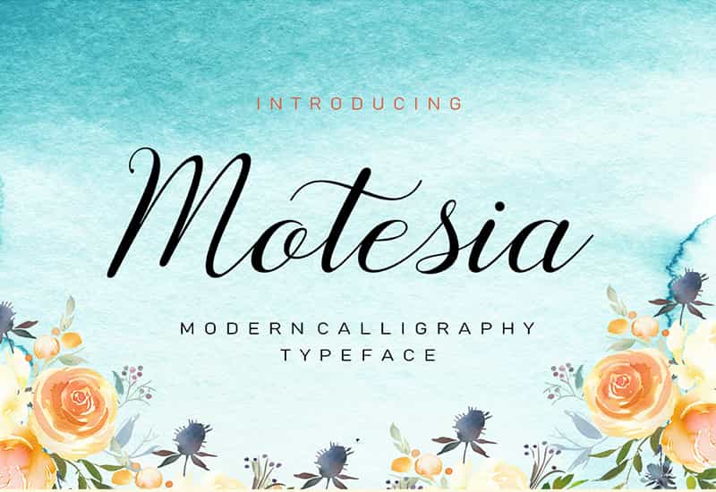 Decorative Script Font Bundle - 40 Exclusive Fonts | Artixty
