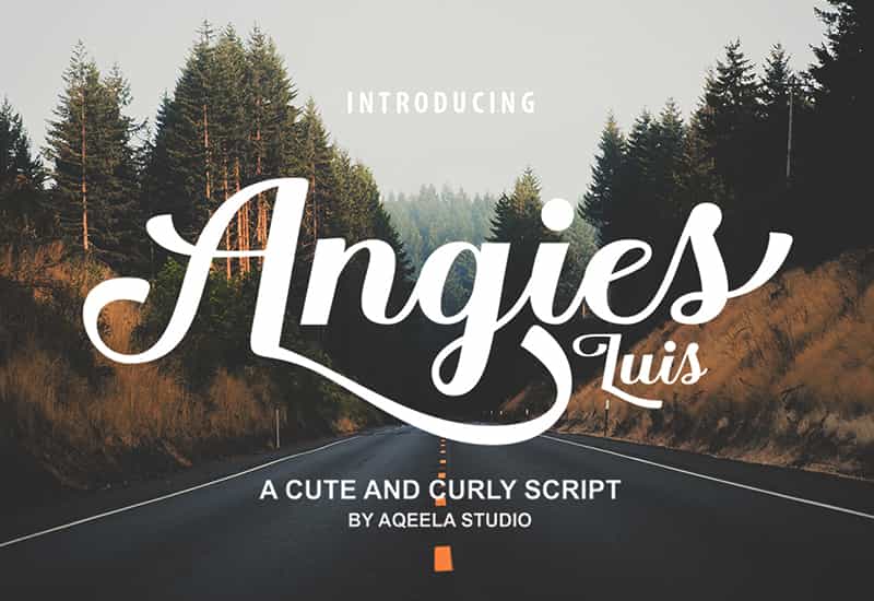 Decorative Script Font Bundle - 40 Exclusive Fonts - Artixty