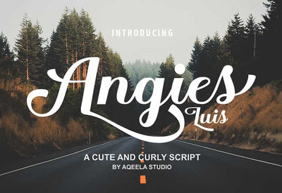 Decorative Script Font Bundle - 40 Exclusive Fonts - Artixty