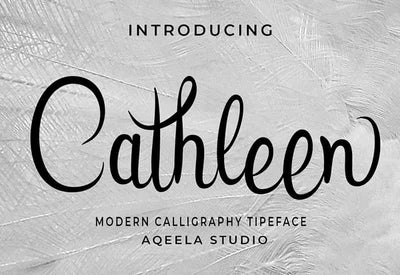Decorative Script Font Bundle - 40 Exclusive Fonts - Artixty