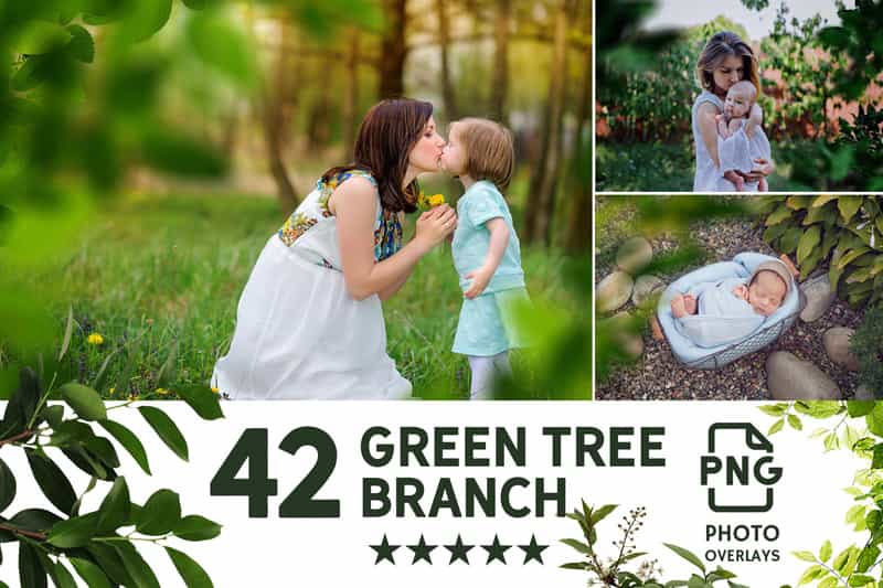 2800+ Cute Photo Overlays Bundle - Artixty