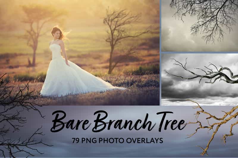 2800+ Cute Photo Overlays Bundle - Artixty