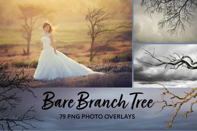 2800+ Cute Photo Overlays Bundle - Artixty