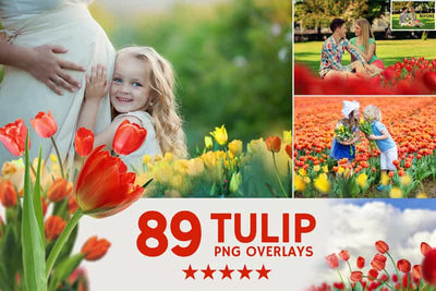 2800+ Cute Photo Overlays Bundle - Artixty