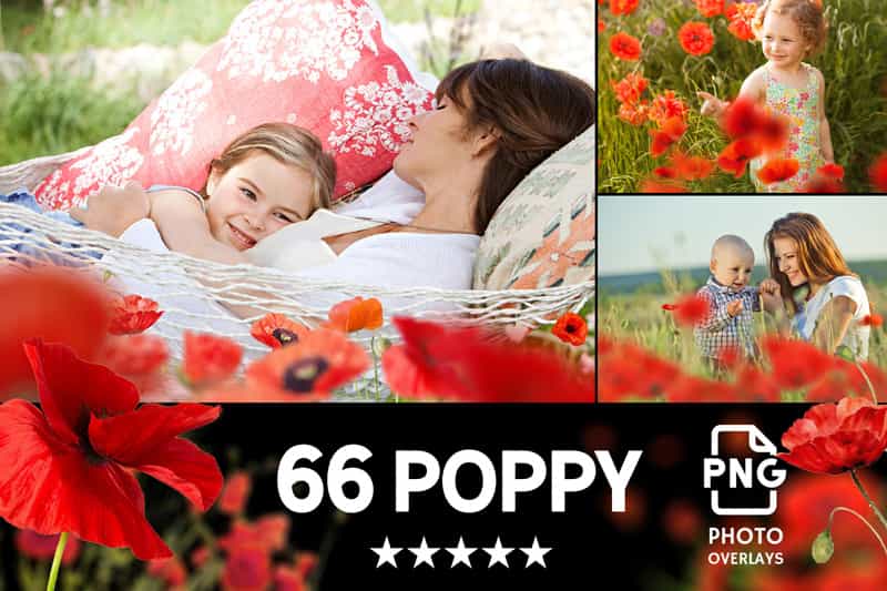 2800+ Cute Photo Overlays Bundle - Artixty