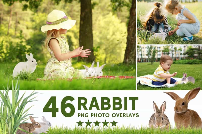 2800+ Cute Photo Overlays Bundle - Artixty