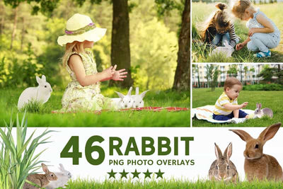 2800+ Cute Photo Overlays Bundle - Artixty