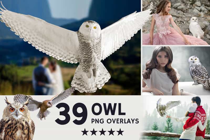 2800+ Cute Photo Overlays Bundle - Artixty