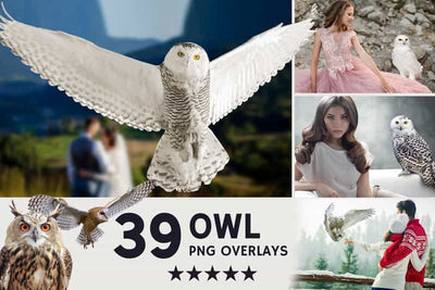 2800+ Cute Photo Overlays Bundle - Artixty