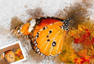 11-In-1 Elegant Watercolor Photoshop Actions Bundle - Artixty
