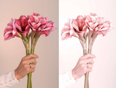 The Spring Lightroom Presets Collection - Artixty