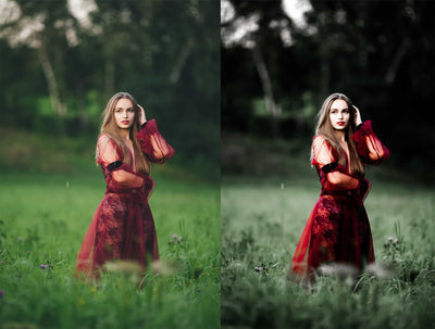 The Spring Lightroom Presets Collection - Artixty