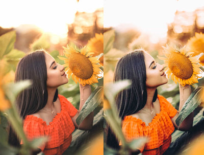 The Spring Lightroom Presets Collection - Artixty