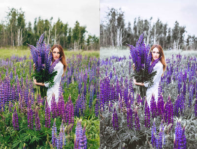 The Spring Lightroom Presets Collection - Artixty