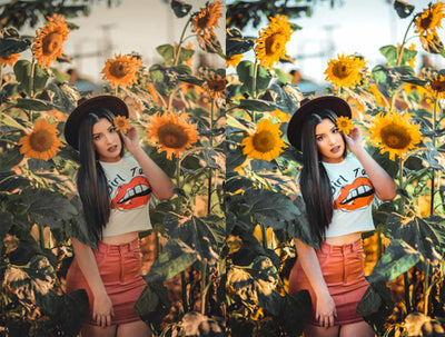 The Spring Lightroom Presets Collection - Artixty