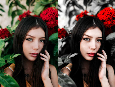 The Spring Lightroom Presets Collection - Artixty