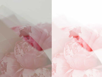 The Spring Lightroom Presets Collection - Artixty