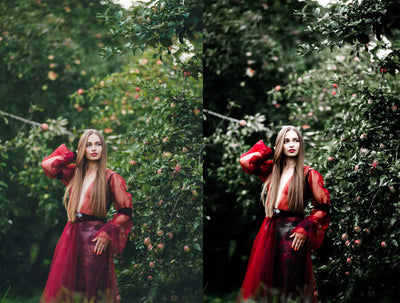 The Spring Lightroom Presets Collection - Artixty