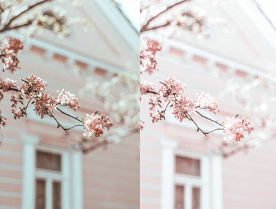 The Spring Lightroom Presets Collection - Artixty