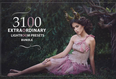 3100 Extraordinary Lightroom Presets Bundle - Artixty