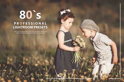 3100 Extraordinary Lightroom Presets Bundle - Artixty
