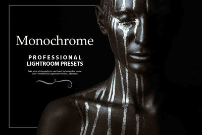 3100 Extraordinary Lightroom Presets Bundle - Artixty