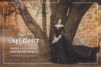 3100 Extraordinary Lightroom Presets Bundle - Artixty