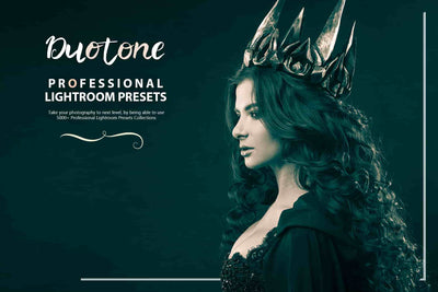 3100 Extraordinary Lightroom Presets Bundle - Artixty