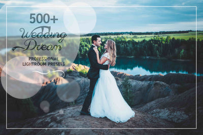 3100 Extraordinary Lightroom Presets Bundle - Artixty
