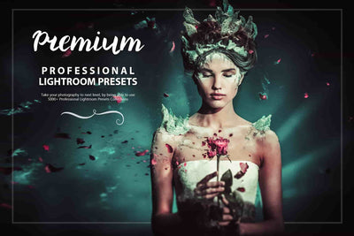 3100 Extraordinary Lightroom Presets Bundle - Artixty