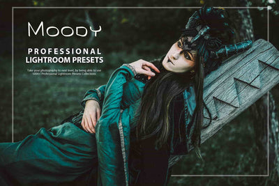 3100 Extraordinary Lightroom Presets Bundle - Artixty