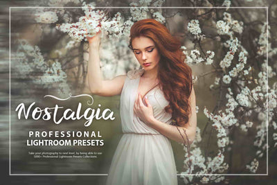3100 Extraordinary Lightroom Presets Bundle - Artixty