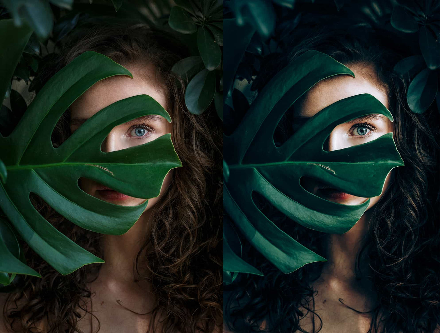 330 Travel Lightroom Presets Collection - Artixty