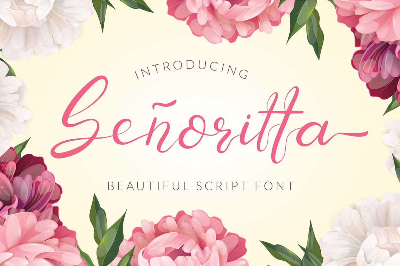 The Exclusive Mega Font Bundle - 16 Premium Fonts - Artixty