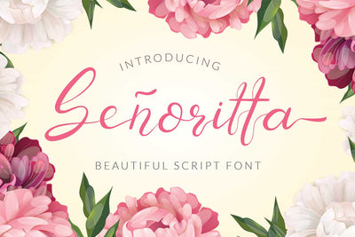 The Exclusive Mega Font Bundle - 16 Premium Fonts - Artixty