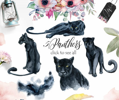 Panthers & Floral Watercolor Illustration Set - Artixty