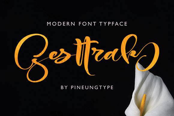 Handwritten Mega Font Bundle - 300+ Amazing Fonts - Artixty