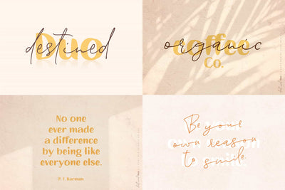 The Beautiful Hand Lettered Font Bundle - 28+ Fonts & Extras - Artixty