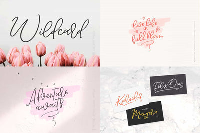 The Beautiful Hand Lettered Font Bundle - 28+ Fonts & Extras - Artixty