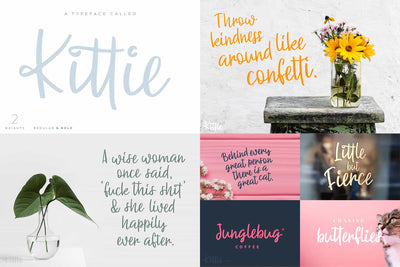 The Beautiful Hand Lettered Font Bundle - 28+ Fonts & Extras - Artixty