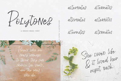The Beautiful Hand Lettered Font Bundle - 28+ Fonts & Extras - Artixty
