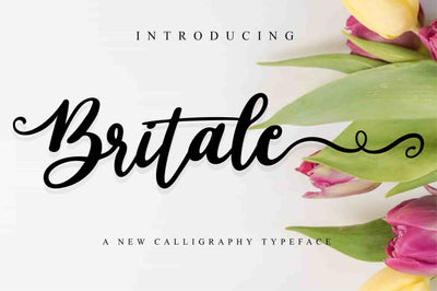 The Gorgeous Script Font Bundle - 30 Exclusive Fonts - Artixty