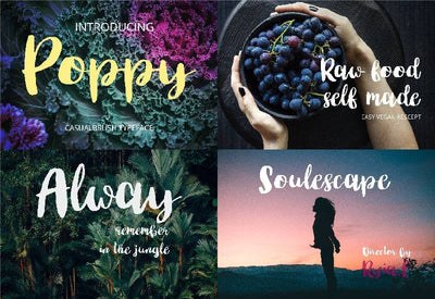 The Big Bundle Of 25 Premium Fonts - Artixty