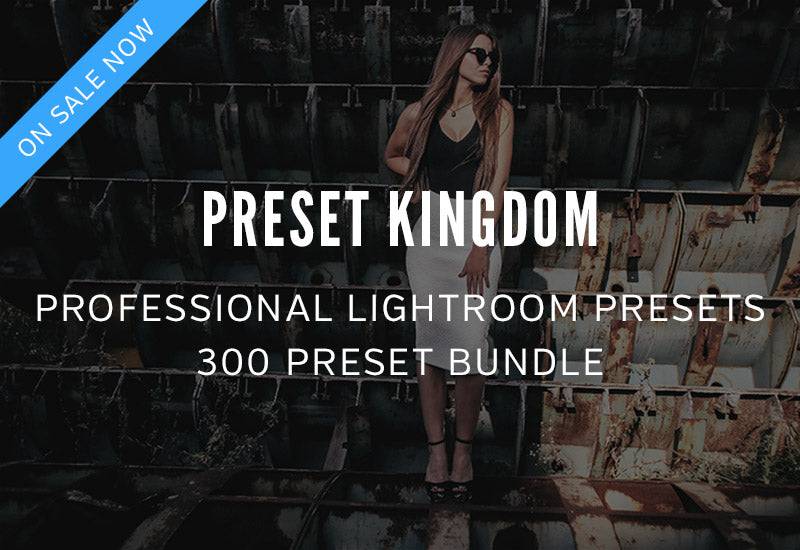 300 Professional Lightroom Presets Bundle - Artixty