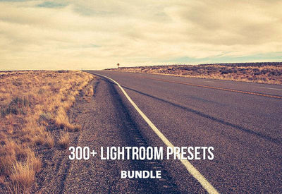 The Radiant Lightroom Preset Bundle - 330+ Presets - Artixty
