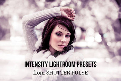 The Radiant Lightroom Preset Bundle - 330+ Presets - Artixty