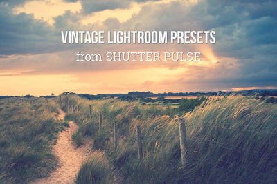 The Radiant Lightroom Preset Bundle - 330+ Presets - Artixty