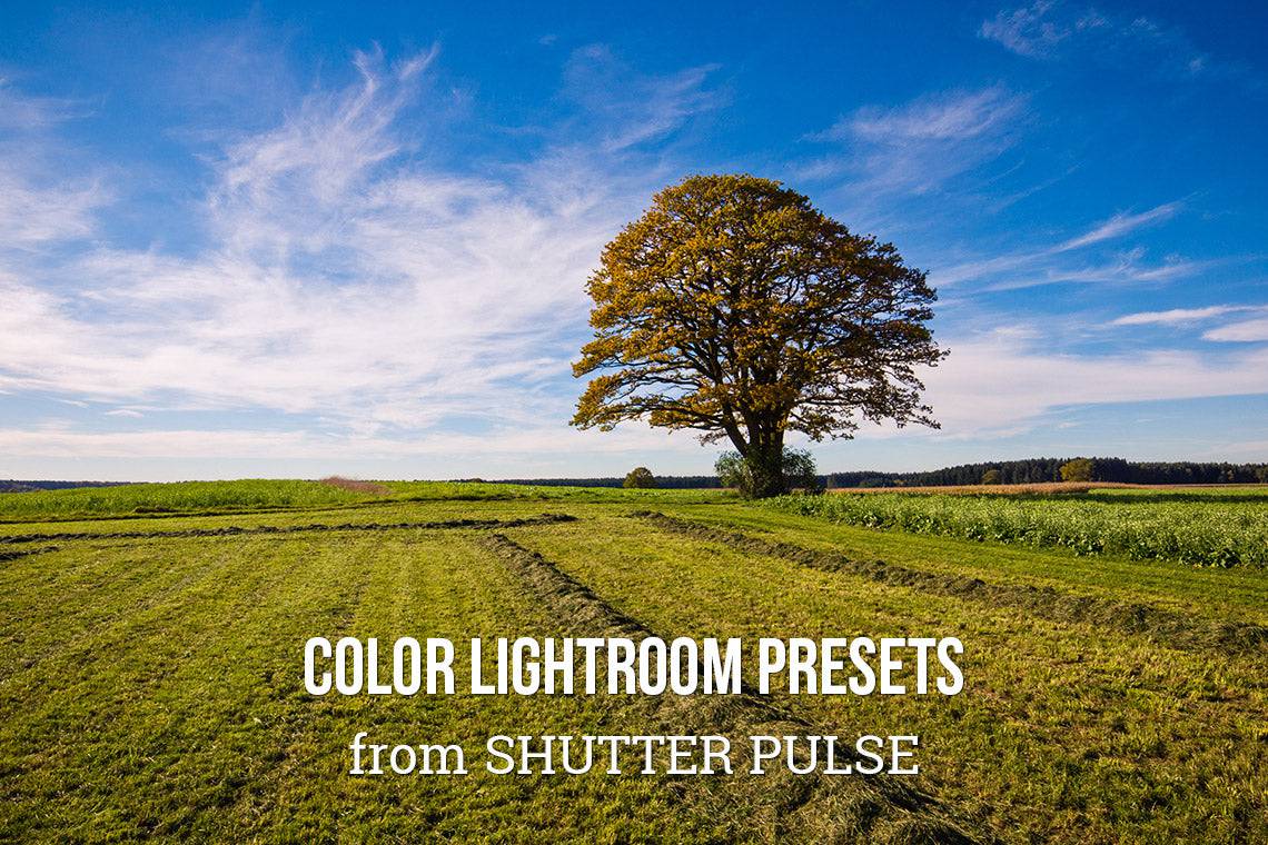 The Radiant Lightroom Preset Bundle - 330+ Presets - Artixty