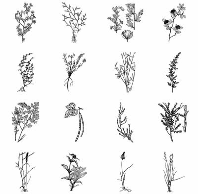 The Vintage Illustrations Bundle - 1391 Design Elements - Artixty